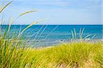 Grass on sand dunes at beach. Pinery provincial park, Ontario Canada