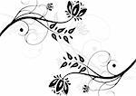 Black and white floral background (horizontal position)