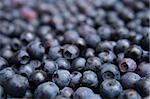 fresh blueberries background as nice food background