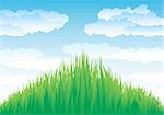 Growing grass on a clouds sky background