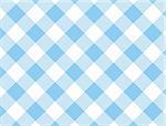 Jpg.  Woven blue and white gingham fabric.