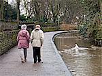 Old couple walking near river with swan