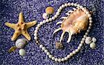 Pearl necklace with sea shell and starfishes on lilac sand background