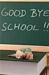 Sea shells on a pile of books and a chalkboard in background with text: Good bye school