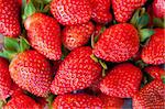 fresh strawberry for sale in the market