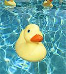 Rubber duck floating in crystal blue water