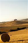 Hay Bales on a yellow field in the tuscany country at sunset