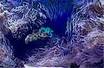 Beautiful underwater life background