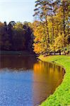 Maples trees in autumn, Tsaritsino park, Moscow