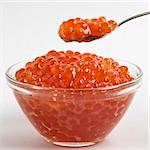 Red caviar in the little glass bow and spoon isolated over grey gradient background