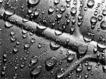 beautifull detail of water drops on leaf - macro detail