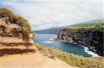 Wild landscape in Faial island, Azores, Portugal