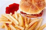 Fish burger and French Fries on plate