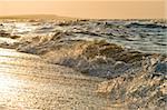 Splashing sea wave in sunset or sunrise light