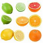 Set of citrus fruits. Isolated on white background. Close-up. Studio photography.