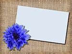 One blue flower with message-card on  textile background. Close-up. Studio photography.