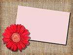 One red flower with message-card on  textile background. Close-up. Studio photography.