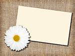 One white flower with message-card on  textile background. Close-up. Studio photography.