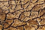 An abstract shot of a dry barren land