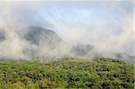 Lush green mountains and low hanging clouds