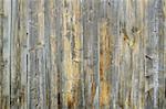 brown wood texture natural pattern