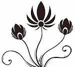 drawing of black flower pattern in a white background