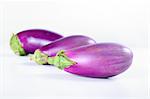fresh from the garden eggplant on white