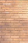 Wall of red brick, sunlit. Grunge background