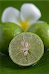 a slice of lime