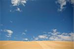 Desert and blue sky in Mongolia