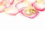 Wedding rings on a red rose petal