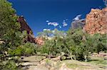 Virgin River in Zion Canyon national park USA