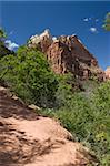 Spectacular landscape of the Zion natural park in Utah, USA