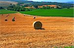 Toscana Landscape With Many Hay Bales In The Morning