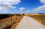 The Dirt Road Between The Fields Of Tuscany