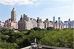 Manhattan skyline and the Central Park in New York City USA