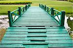 bridge and the yard in the park,grass green