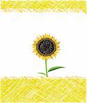 Wild sunflower drawing on bright background. Vector illustration