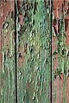Part of a old woodboard texture painted on green.
