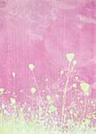 Meadow flower pink background with text space