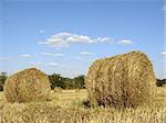 golden straw bales in the field after wheat harvesting