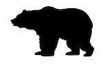 silhouette bear isolated on white background