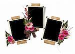The frame is decorated with a bouquet of flowers hollyhocks. Isolated on white background