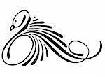 Illustration of design hand drawn swan. Vector
