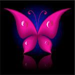 Vector illustration of magenta icon simply butterfly on black background