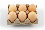 Eggs on a tray against white background