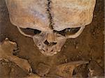 Human skull seen from above with soil in the background