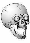 Vector illustration - image of the skull