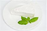 A blue cheese on the white background