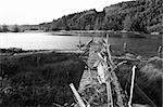 An old abandoned dock in Western Oregon in black and white